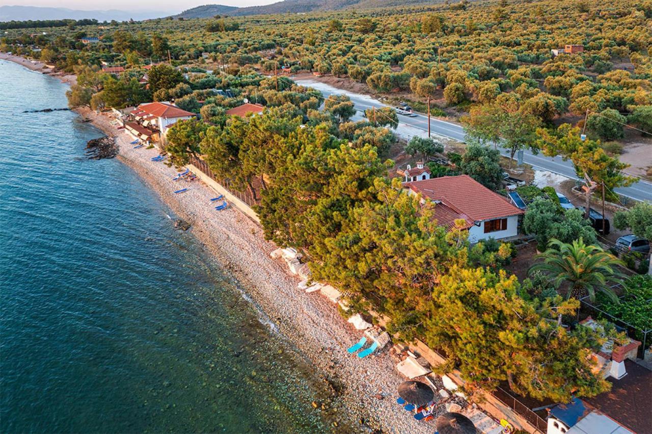 Pine Beach House Skála Kallirákhis Extérieur photo